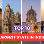 Top 10 largest states in India top 10 box office collection,box office collection,highest grossing movies,top grossing movies,movie earnings,movie revenue