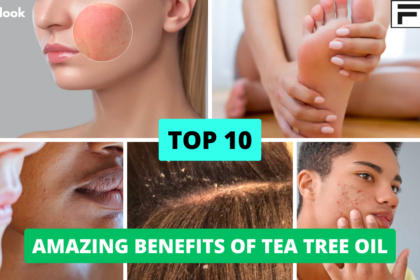 10 Amazing Benefits of Tea Tree Oil places to visit in gujarat, Top 10 Places to Visit in Gujarat, gujarat tourism, gujarat travel