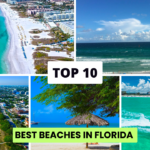 Top 10 Beaches In Florida Bollywood films for Raksha Bandhan,Best Bollywood films for siblings,akshay kumar raksha bandhan