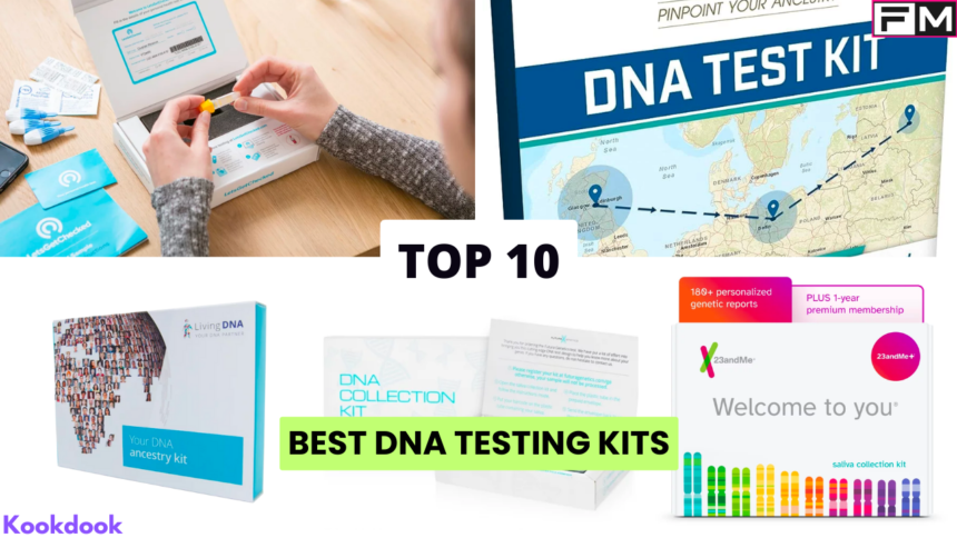 Top 10 Best DNA Testing Kits in 2023 Best DNA testing kits,dna testing kits,ancestry test,health test