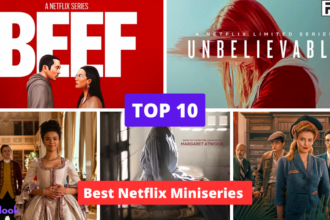 Top 10 Best Netflix Miniseries