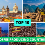 TOP 10 COFFEE PRODUCING COUNTRIES Chemical Companies In India,Top 10 Chemical Companies in India,india chemical industry