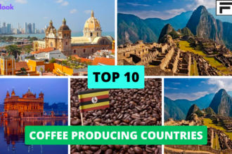 TOP 10 COFFEE PRODUCING COUNTRIES