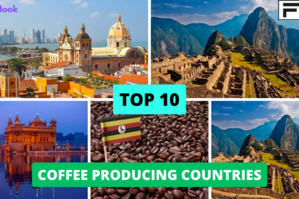 TOP 10 COFFEE PRODUCING COUNTRIES iOS app development tools,best iOS app development tools,popular iOS app development tools,beginner iOS app development tools