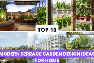 Top 10 Terrace Garden Design Ideas For Home