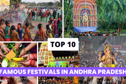 Top 10 Famous Festivals in Andhra Pradesh 2023 glucometer,Top 10 Best Glucometers Available In India,best glucometers in india