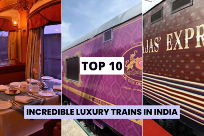 Top 10 Luxury Trains In India best soap holders,Best Soap Holders Available In India,soap holder,bathroom accessories