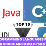 Top 10 Best Programming Language For Blockchain Development Red Blouse Designs,Red Blouses,Stylish Blouse Designs,Stunning Blouse Designs