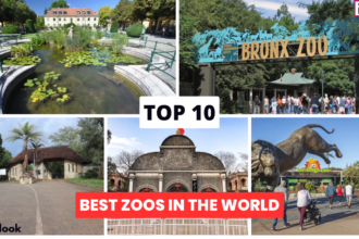 Top 10 Zoos In The World