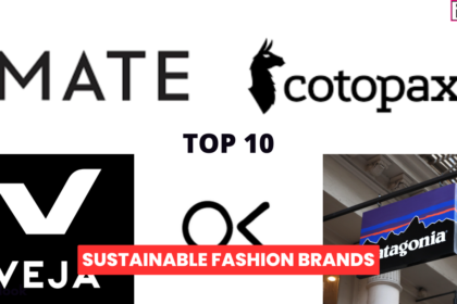 Top 10 Sustainable Fashion Brands rajasthan liquor price list