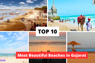 Top 10 Most Beautiful Beaches in Gujarat with Pictures