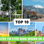 Top 10 Best States To Live And Work In America Top 10 Oldest Trees in the World,oldest trees in the world