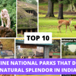 Top 10 National Parks in India That Define Natural Splendor Top 10 Water Parks In India,best water parks in India,adventure water parks in India