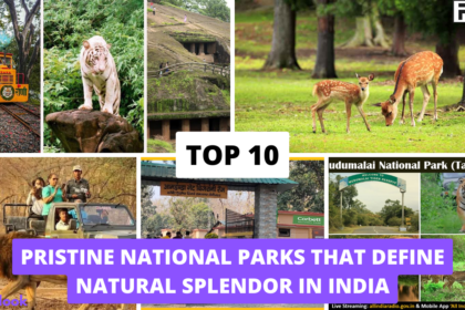 Top 10 National Parks in India That Define Natural Splendor glucometer,Top 10 Best Glucometers Available In India,best glucometers in india