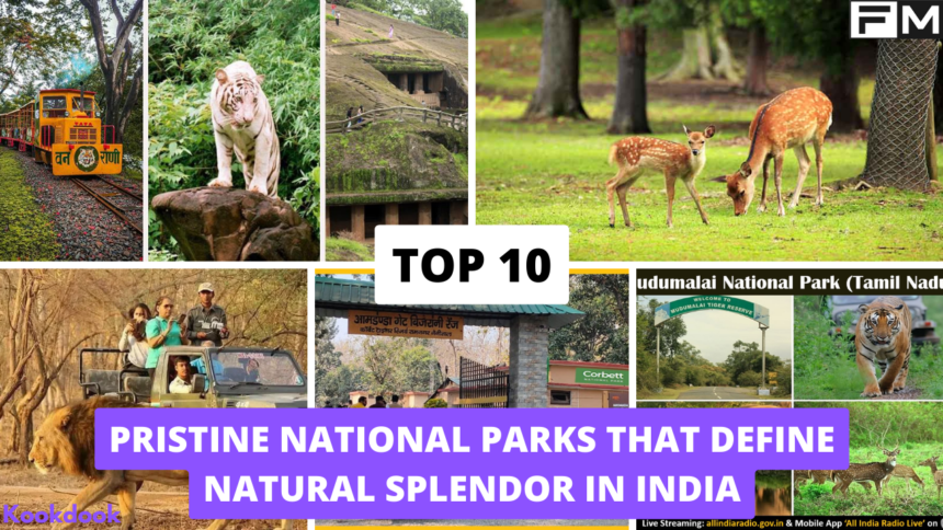 Top 10 National Parks in India That Define Natural Splendor Top 10 National Parks in India