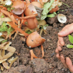 Advantages of Composting