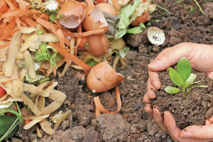 Advantages of Composting