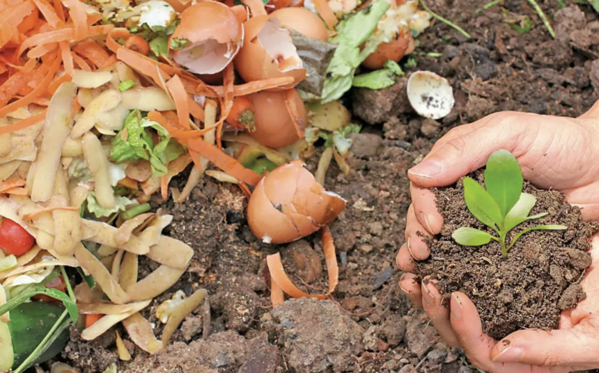 Advantages of Composting