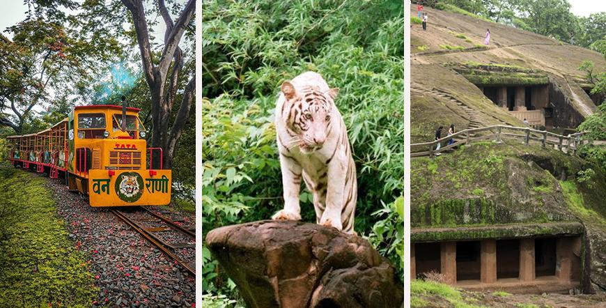 Top 10 National Parks in India That Define Natural Splendor Top 10 National Parks in India