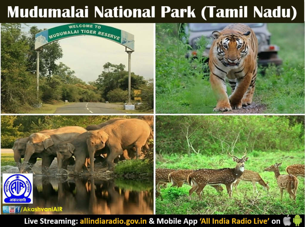 Top 10 National Parks in India That Define Natural Splendor Top 10 National Parks in India