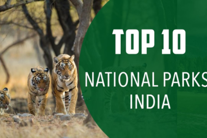 Best National Parks in India Prime Ministers In India,Top 10 Prime Ministers In India,indian politics