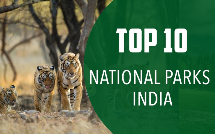 Best National Parks in India best national parks in india, top national parks in india, national parks in india