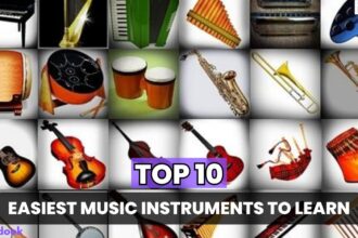 Top 10 Easiest Instruments