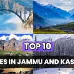 Top 10 Tourist Places in Jammu and Kashmir Benefits of Tea Tree Oil,uses of tea tree oil,tea tree oil,aromatherapy