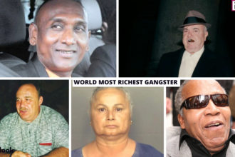 Top 10 World's Richest Gangsters of All Time