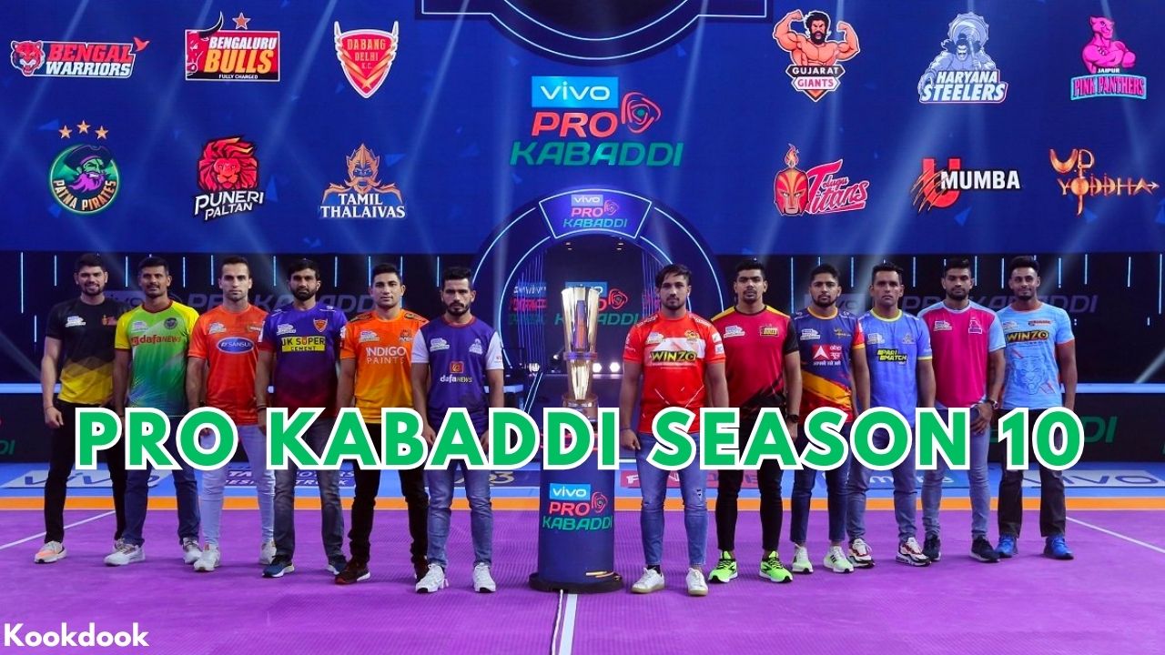 Pro Kabaddi Season 10 points table