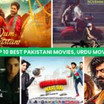 Pakistani Movies, Urdu Movies