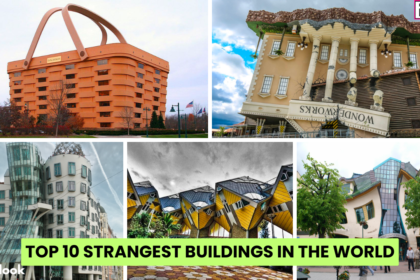 Top 10 Strangest Buildings In The World Interesting Facts About Harrison Ford,10 Facts About Harrison Ford