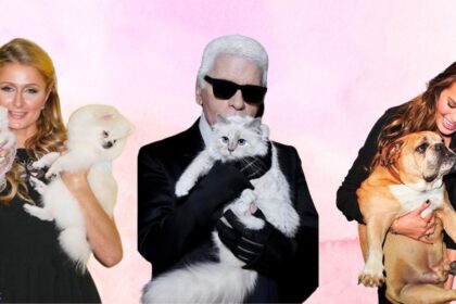 Celebrity Pets