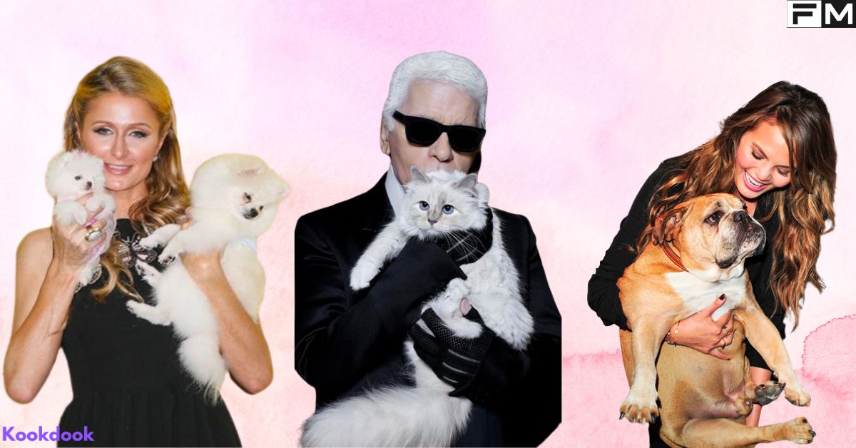 Celebrity Pets