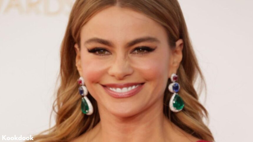 Sofía Vergara's Net Worth Takes Flight with Netflix Drama Sofía Vergara