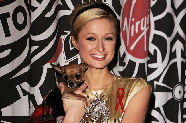 famous celebrities with pets