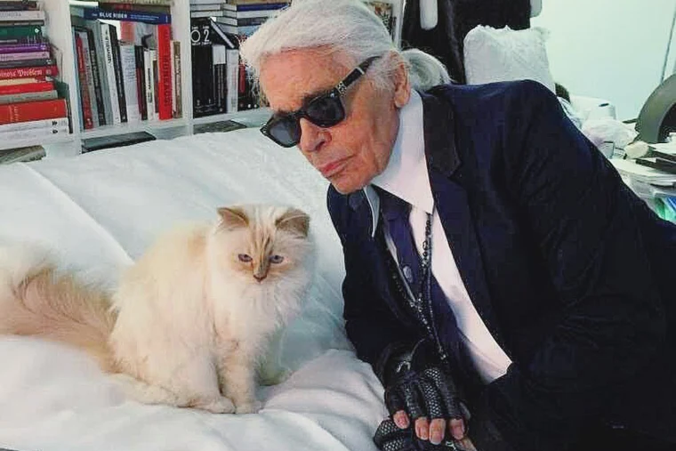 Karl Lagerfeld pet